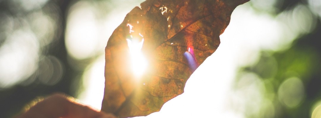 falling down the yoga rabbit hole