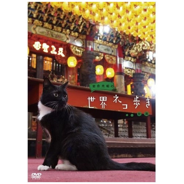 岩合光昭の世界ネコ歩き 台湾
